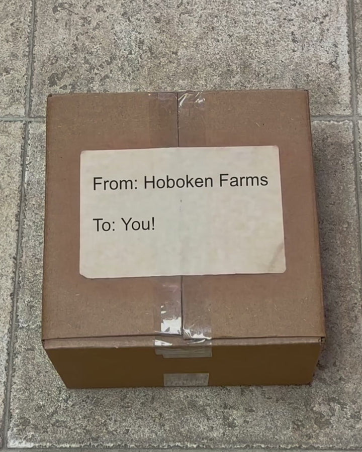 Hoboken Farms Sauce Sampler 4 Pack